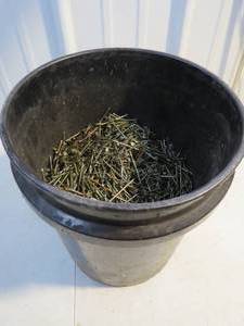 lot 34 image: 5 Gallon Pail of  2 12 Nails Approximately 39-40lbs