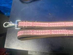 2 Dog Walking Leashes