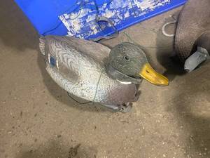8 Duck Hunting Decoys most with lead straps