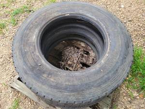lot 8 image: (2) 10R22.5 Truck Tires