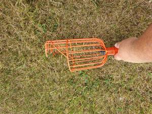 lot 22 image: Extendable Fruit Picking Pole