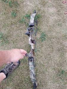 lot 39 image: Compound Hunting Bow