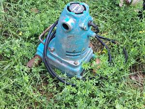 lot 1021 image: Johnson Water System Co 12-HP Water Pump 1ACE