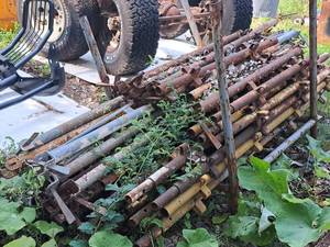 lot 1036 image: Lot of (40-50) Scaffolding Poles