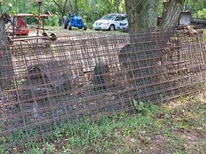 lot 1050 image: Lot of (14) Wire Fence  Grates