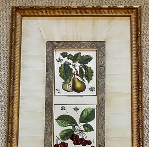 lot 55 image: Fun Fruit Themed Print