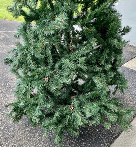 lot 180 image: Faux Six Foot Christmas Tree