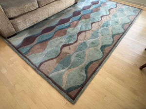 lot 10 image: Beautiful Area Rug