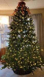 lot 160 image: 6.5 Foot Prelit Christmas Tree- Comes with bow topper, Tree Collar, and Primode stoarage bag (1 Lower branch lights are not working)
