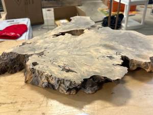 lot 43 image: Live Edge Wood Slab 22 Inch Diameter