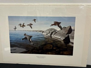 Ron Van Gilder Signed Stony Point Bluebills Art Print (2431500)