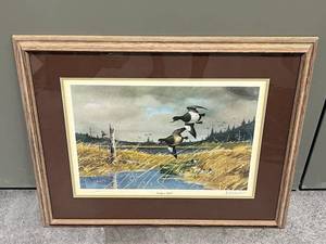 Les Kouba Northern Bills Signed Limited Edition (10412000) Print in a 21.5 x 25.5 Frame