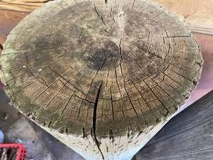 lot 119 image: Round Wood Pillars