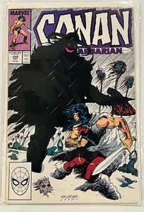 lot 82 image: CONAN THE BARBARIAN #209, #211, #213, #215, #217, #219, #220, #221, #222, #223, #224 MARVEL COMICS GROUP