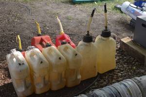 lot 12 image: Multiple Gas Cans