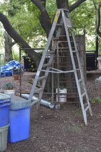 lot 30 image: Ladder