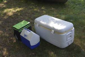 lot 43 image: lot of coolers