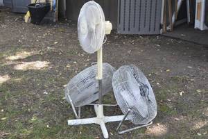 lot 47 image: Lot of Fans