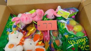 Mixed  5  Pounds Dates 2023  2024 and 2025