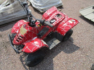 lot 11 image: Kids 4 Wheeler