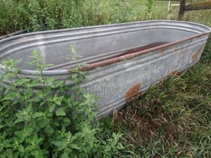 lot 154 image: Stock Tank