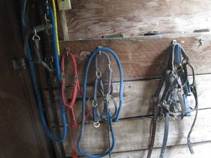 lot 247 image: Horse Tack