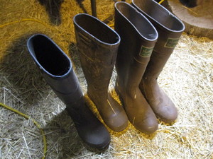 lot 232 image: Muck Boots