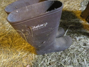 lot 234 image: Muck Boots