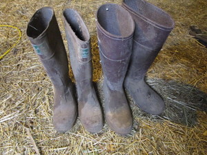 lot 236 image: Muck Boots