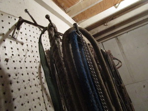 lot 245 image: Variety of Tack