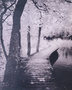 lot 99 image: Negative Photoimpressionist Fine Art Print