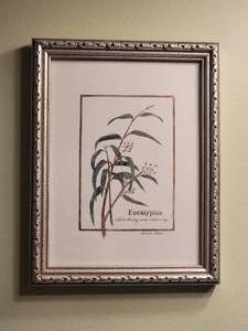 lot 93 image: Delightful Fine Art Botanical Print Pair - Eucalyptus & Peppermint
