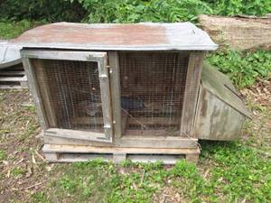 Outdoor Wood frame and wire animal ...