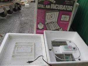 Little Giant still air egg incubato...