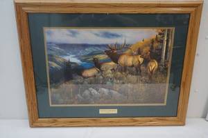 lot 9 image: Hayden Lambson wildlife print