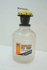 lot 124 image: fly trap