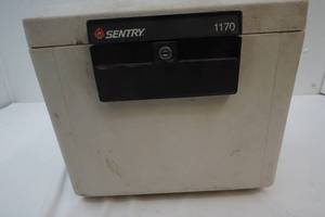 lot 205 image: Sentry Safe