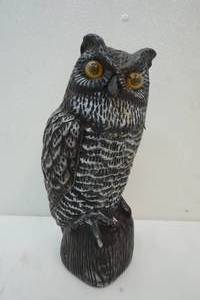 lot 240 image: Owl Statute