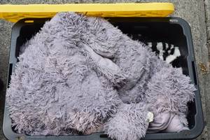 lot 25 image: Bin 2 Blankets