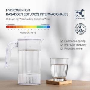 Luvspark Hydrogen Rich Water Generator Kettle
