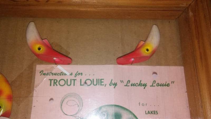 Display Box of Trout Louie by Lucky Louie.