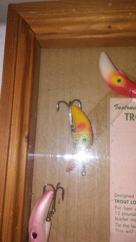 Display Box of Trout Louie by Lucky Louie.