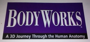 lot 612 image: Body works educational software. (11)