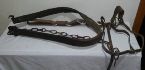 lot 663 image: Vintage Equine Horse.