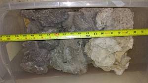 lot 710 image: Aquarium Live Rocks in tote.