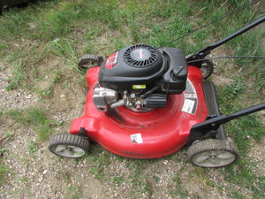 lot 5 image: Push Mower