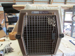 lot 52 image: Pet Porter (Dog)