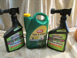 lot 121 image: Tree and Shrub Insect Control