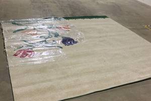 lot 74 image: Large Decorative Flower Rug, 118X118  or 910 X 910