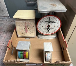 lot 9956 image: AntiqueVintage Scales